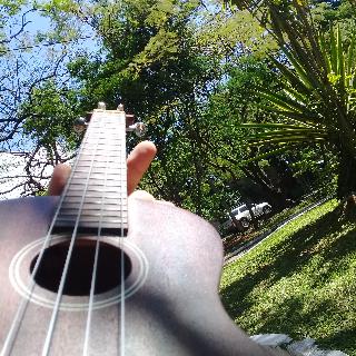 Foto de perfil curso de ukelele y guitarra