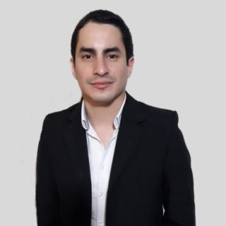 Fernando Insfran